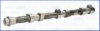 VW 021109101Q Camshaft